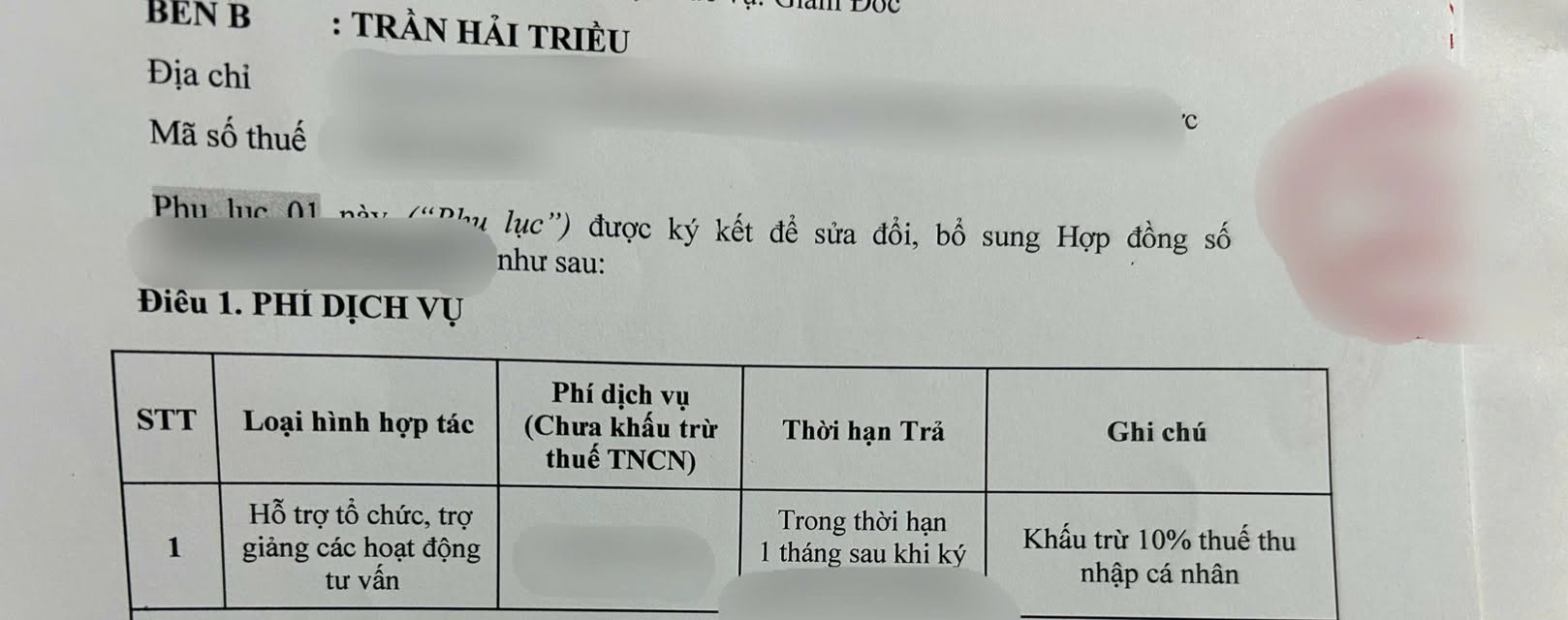 Phụ lục hợp đồng dịch vụ tư vấn — minh chứng nguồn thu nhập thứ 4